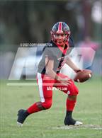 Photo from the gallery "Cypress Creek @ Pasco"