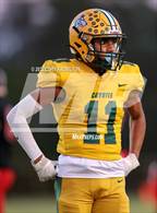 Photo from the gallery "Cypress Creek @ Pasco"
