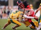 Photo from the gallery "Cypress Creek @ Pasco"