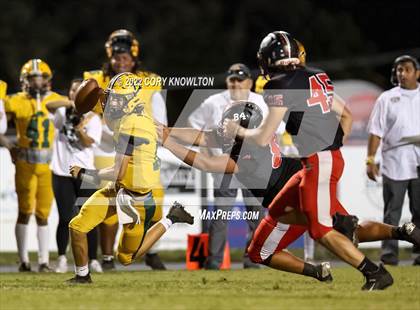 Thumbnail 1 in Cypress Creek @ Pasco photogallery.