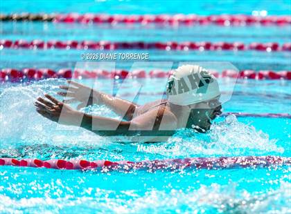 Thumbnail 1 in Grove League Finals photogallery.