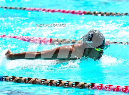 Thumbnail 2 in Grove League Finals photogallery.
