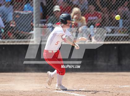Thumbnail 1 in Mountain Ridge vs. Spanish Fork (UHSAA 5A Final) photogallery.