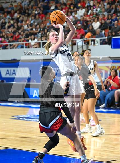 Thumbnail 2 in Phoenix Country Day vs. Page (AIA Copper Final) photogallery.