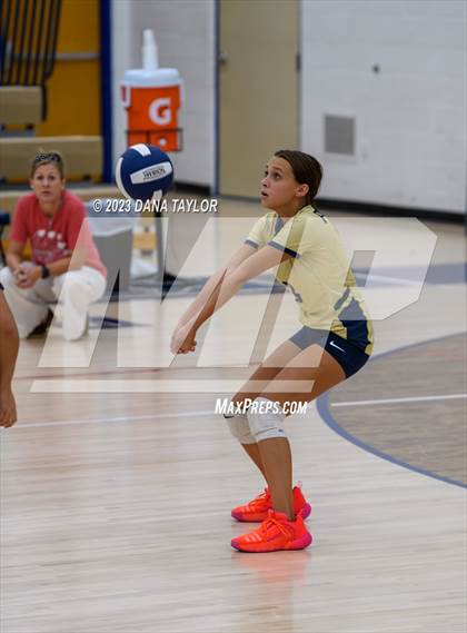 Thumbnail 2 in Lipan @ Perrin-Whitt photogallery.