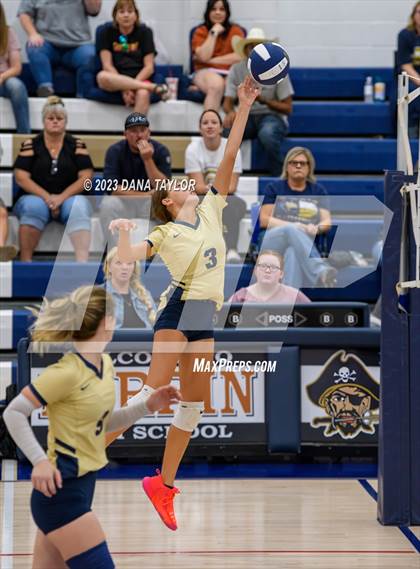 Thumbnail 2 in Lipan @ Perrin-Whitt photogallery.