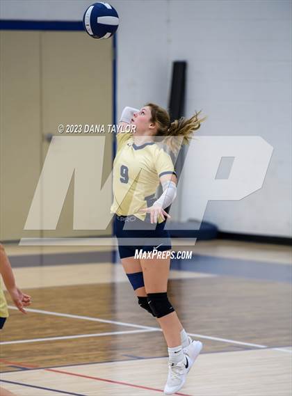 Thumbnail 1 in Lipan @ Perrin-Whitt photogallery.