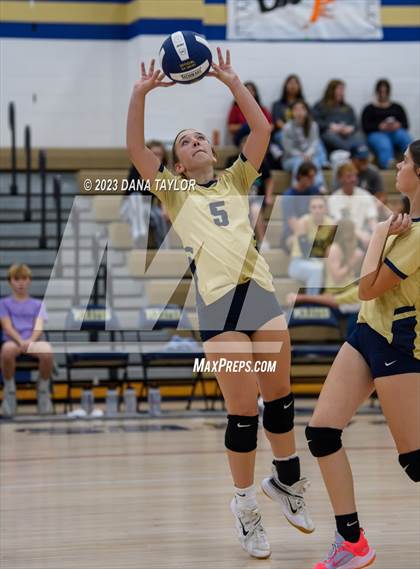 Thumbnail 1 in Lipan @ Perrin-Whitt photogallery.