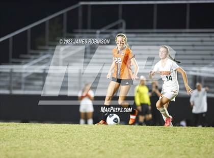 Thumbnail 1 in Mandarin vs Tocoi Creek photogallery.