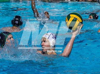 Thumbnail 2 in Napa @ Sonoma Valley (Scrimmage) photogallery.