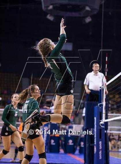 Thumbnail 1 in Ponderosa vs. Niwot (CHSAA 4A Playoff) photogallery.
