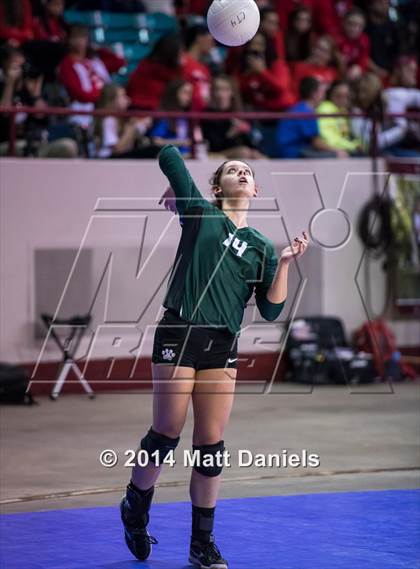 Thumbnail 1 in Ponderosa vs. Niwot (CHSAA 4A Playoff) photogallery.