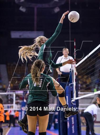 Thumbnail 2 in Ponderosa vs. Niwot (CHSAA 4A Playoff) photogallery.