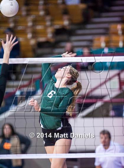 Thumbnail 3 in Ponderosa vs. Niwot (CHSAA 4A Playoff) photogallery.
