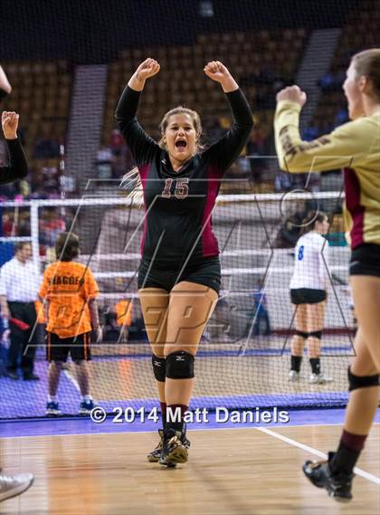 Thumbnail 1 in Ponderosa vs. Niwot (CHSAA 4A Playoff) photogallery.