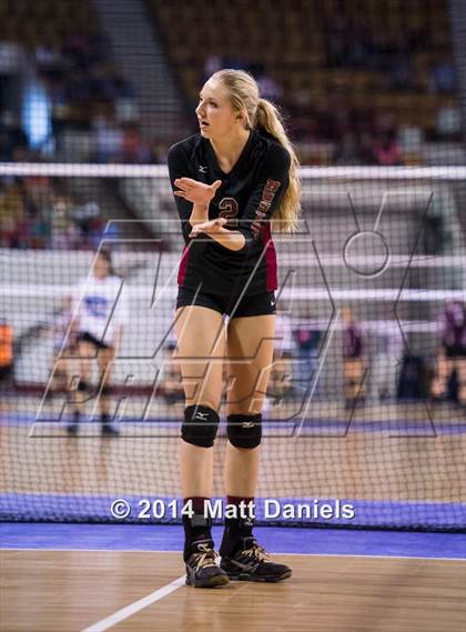 Thumbnail 1 in Ponderosa vs. Niwot (CHSAA 4A Playoff) photogallery.