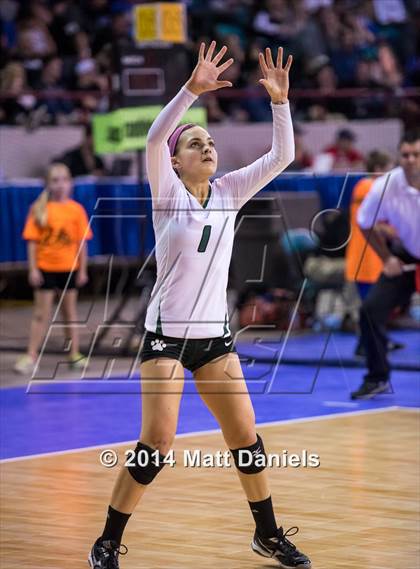 Thumbnail 3 in Ponderosa vs. Niwot (CHSAA 4A Playoff) photogallery.