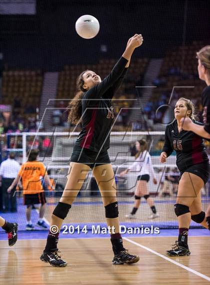 Thumbnail 3 in Ponderosa vs. Niwot (CHSAA 4A Playoff) photogallery.