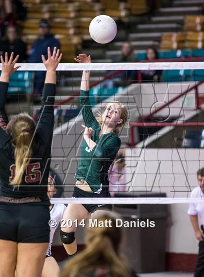 Thumbnail 1 in Ponderosa vs. Niwot (CHSAA 4A Playoff) photogallery.