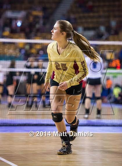 Thumbnail 3 in Ponderosa vs. Niwot (CHSAA 4A Playoff) photogallery.