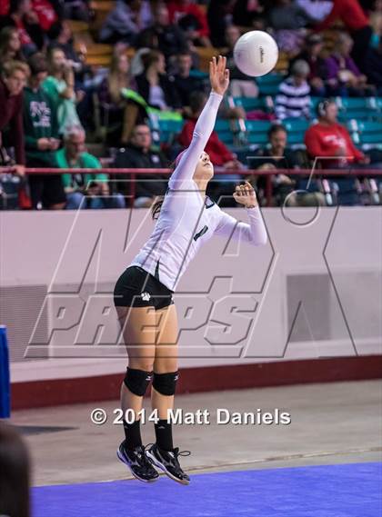 Thumbnail 2 in Ponderosa vs. Niwot (CHSAA 4A Playoff) photogallery.
