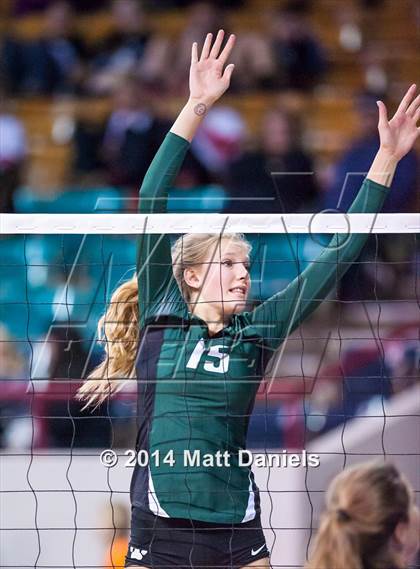 Thumbnail 1 in Ponderosa vs. Niwot (CHSAA 4A Playoff) photogallery.