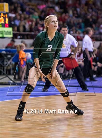 Thumbnail 1 in Ponderosa vs. Niwot (CHSAA 4A Playoff) photogallery.