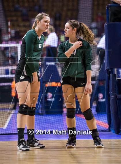 Thumbnail 1 in Ponderosa vs. Niwot (CHSAA 4A Playoff) photogallery.