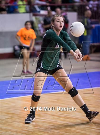Thumbnail 2 in Ponderosa vs. Niwot (CHSAA 4A Playoff) photogallery.