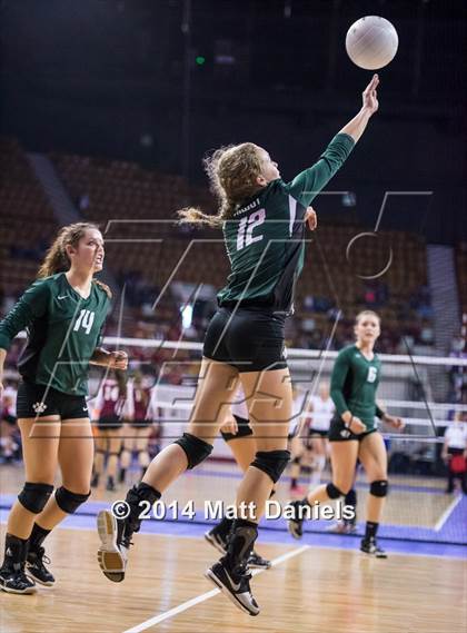 Thumbnail 1 in Ponderosa vs. Niwot (CHSAA 4A Playoff) photogallery.