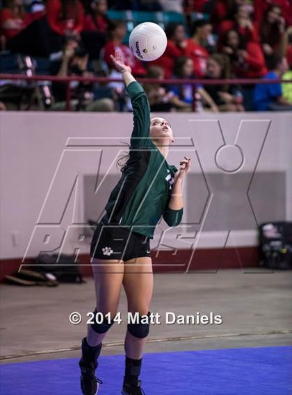 Thumbnail 2 in Ponderosa vs. Niwot (CHSAA 4A Playoff) photogallery.