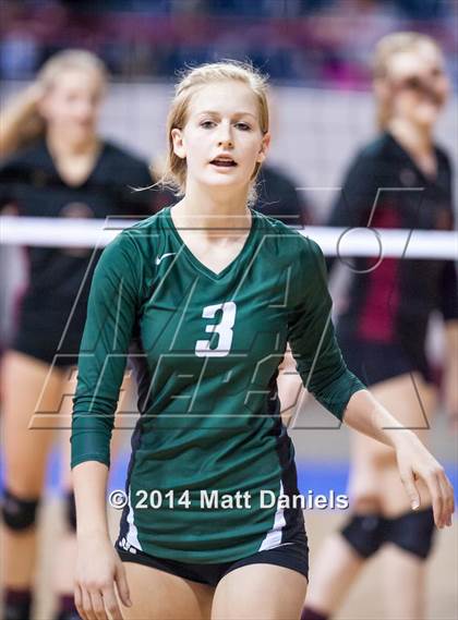 Thumbnail 3 in Ponderosa vs. Niwot (CHSAA 4A Playoff) photogallery.