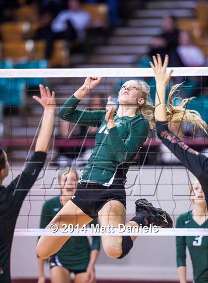 Thumbnail 2 in Ponderosa vs. Niwot (CHSAA 4A Playoff) photogallery.