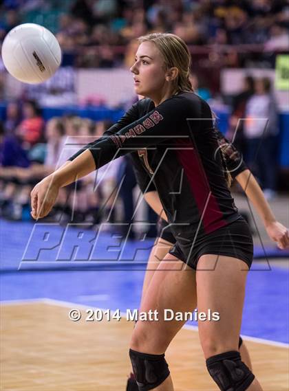 Thumbnail 1 in Ponderosa vs. Niwot (CHSAA 4A Playoff) photogallery.