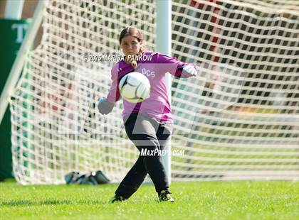 Thumbnail 1 in Onondaga vs Manlius Pebble Hill photogallery.