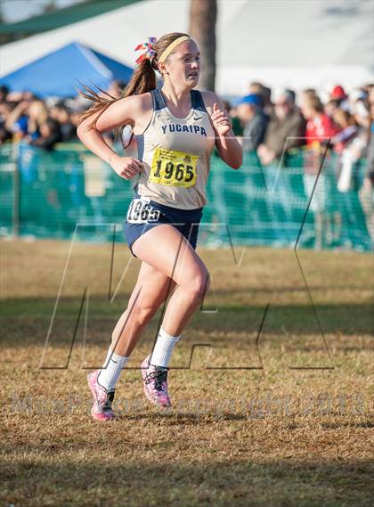 Thumbnail 1 in CIF State Cross Country Championships (Girls D1) photogallery.