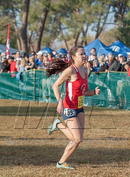 Thumbnail 3 in CIF State Cross Country Championships (Girls D1) photogallery.