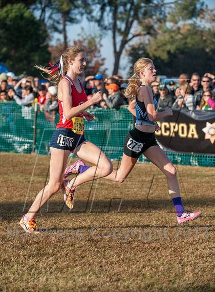 Thumbnail 3 in CIF State Cross Country Championships (Girls D1) photogallery.