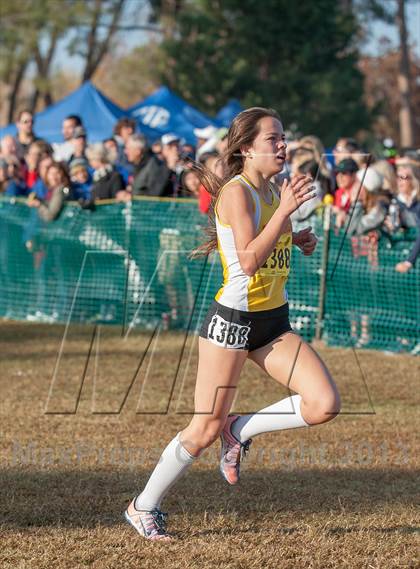 Thumbnail 2 in CIF State Cross Country Championships (Girls D1) photogallery.