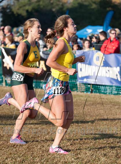 Thumbnail 3 in CIF State Cross Country Championships (Girls D1) photogallery.