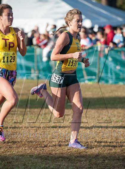 Thumbnail 2 in CIF State Cross Country Championships (Girls D1) photogallery.