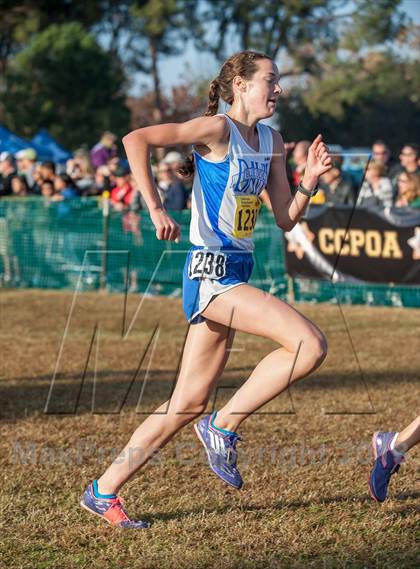 Thumbnail 3 in CIF State Cross Country Championships (Girls D1) photogallery.