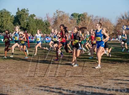 Thumbnail 1 in CIF State Cross Country Championships (Girls D1) photogallery.