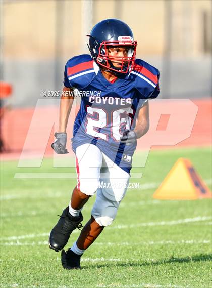 Thumbnail 3 in Higley @ Centennial photogallery.