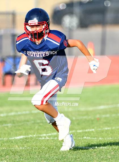 Thumbnail 3 in Higley @ Centennial photogallery.