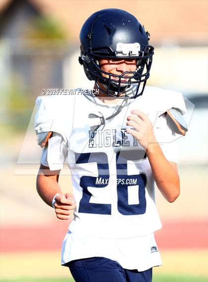 Thumbnail 1 in Higley @ Centennial photogallery.