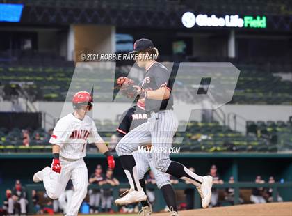 Thumbnail 1 in Lake Travis @ Marcus (Dragon Classic) photogallery.
