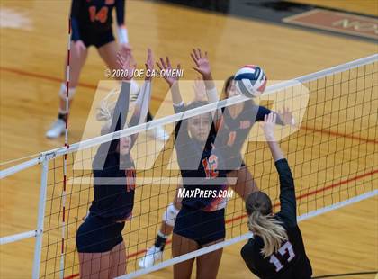 Thumbnail 1 in Churchill vs Brandeis photogallery.