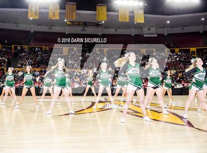 Thumbnail 1 in Deer Valley vs. Sunnyslope (AIA 5A Final)  photogallery.