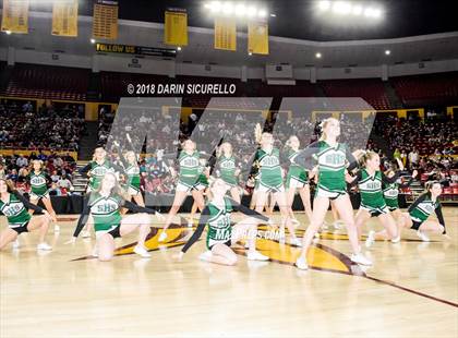 Thumbnail 2 in Deer Valley vs. Sunnyslope (AIA 5A Final)  photogallery.